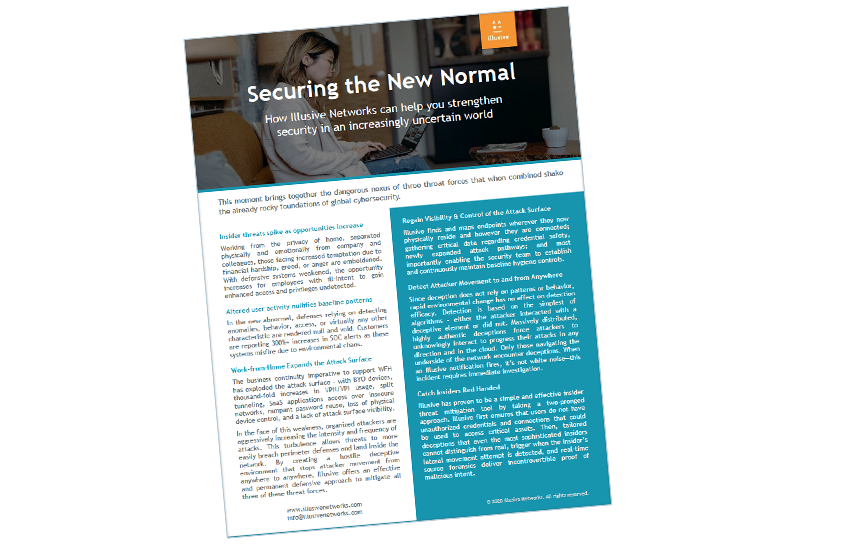 Presentation image for Securing the New Normal